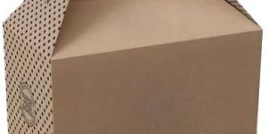 Biodegradable Disposable Carry Box