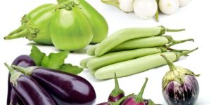 Fresh Brinjal