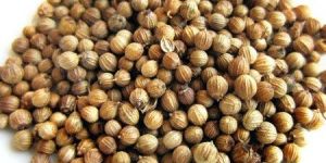 Coriander Seeds