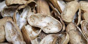 Groundnut Shell