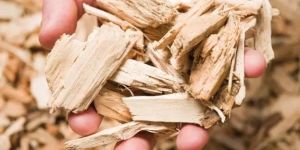 Wood Chips