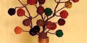 Rudraksha Bouquet-5 Face Rudraksh-multi Colour-27 Beads