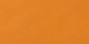 Montezuma Leather Aircraft Seat Fabric