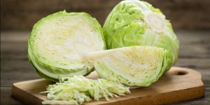 Fresh Cabbage
