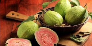 Fresh Guava