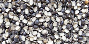 Split Black Gram (Urad Dal)