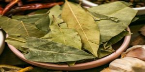 Bay Leaves