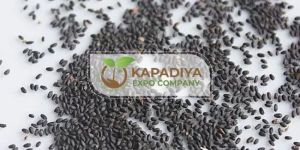Basil Seed