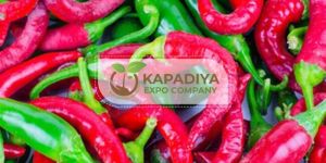 Fresh Chilli