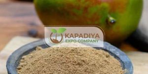 Spray Dried Amchoor Powder