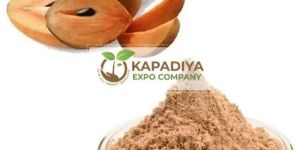 Spray Dried Sapota Powder