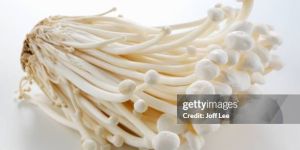 Organic White Enoki Mushroom