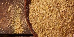 Organic Soya De Oiled Cake