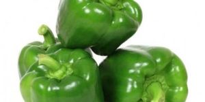 Capsicum