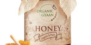 Organic Honey