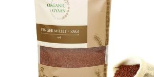 Unpolished Organic Ragi Grains (Finger Millet)