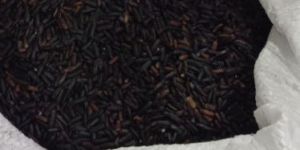 Black Kavuni RIce