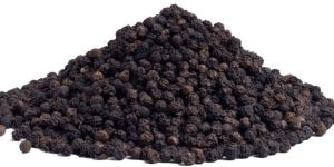 Black Pepper Seed