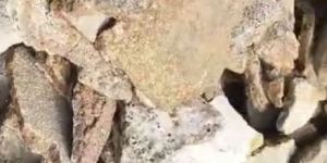 Cast Iron Skull Scrap