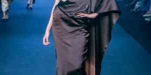 Women Coco Cutwork Saree