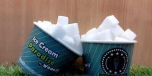 Paper Food Containers