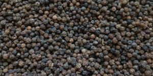 Black Pepper Powder