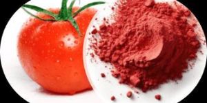 Tomato Powder