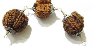 Shiva Family Rudraksha Shield
