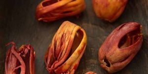 Mace Spices (Javitri)