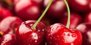 Red Cherry