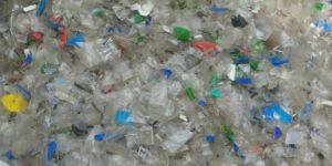 Pet Bottles Scrap