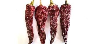 Kashmiri Dabbi Dry Red Chilli
