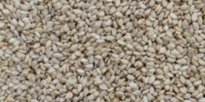 Natural Sesame Seeds
