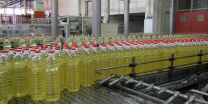 Palm Oil