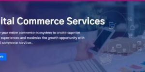 Digital Commerce