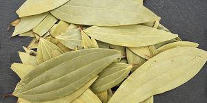 Bay Leaf