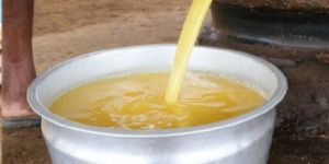 Cold Pressed Virgin Coconut Oil