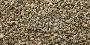 Carom Seed