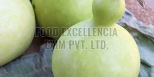 Fresh Bottle Gourd