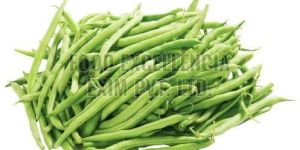 Fresh Green French Beans