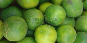 Fresh Green Lime