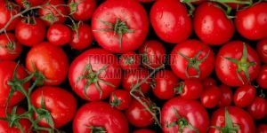 Red Fresh Tomato