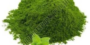 Dehydrated Mint Powder