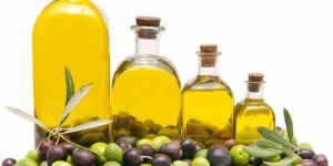 Olive Oil