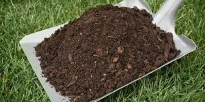 Pure Vermicompost Fertilizer
