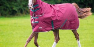 Horse Rugs