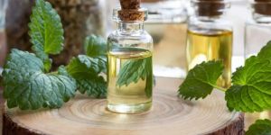 Peppermint Oil