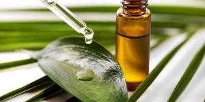 Tea Tree Oil
