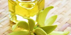 Ylang Ylang Oil