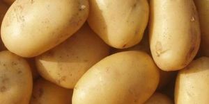 Brown a Grade Super 6 Potato
